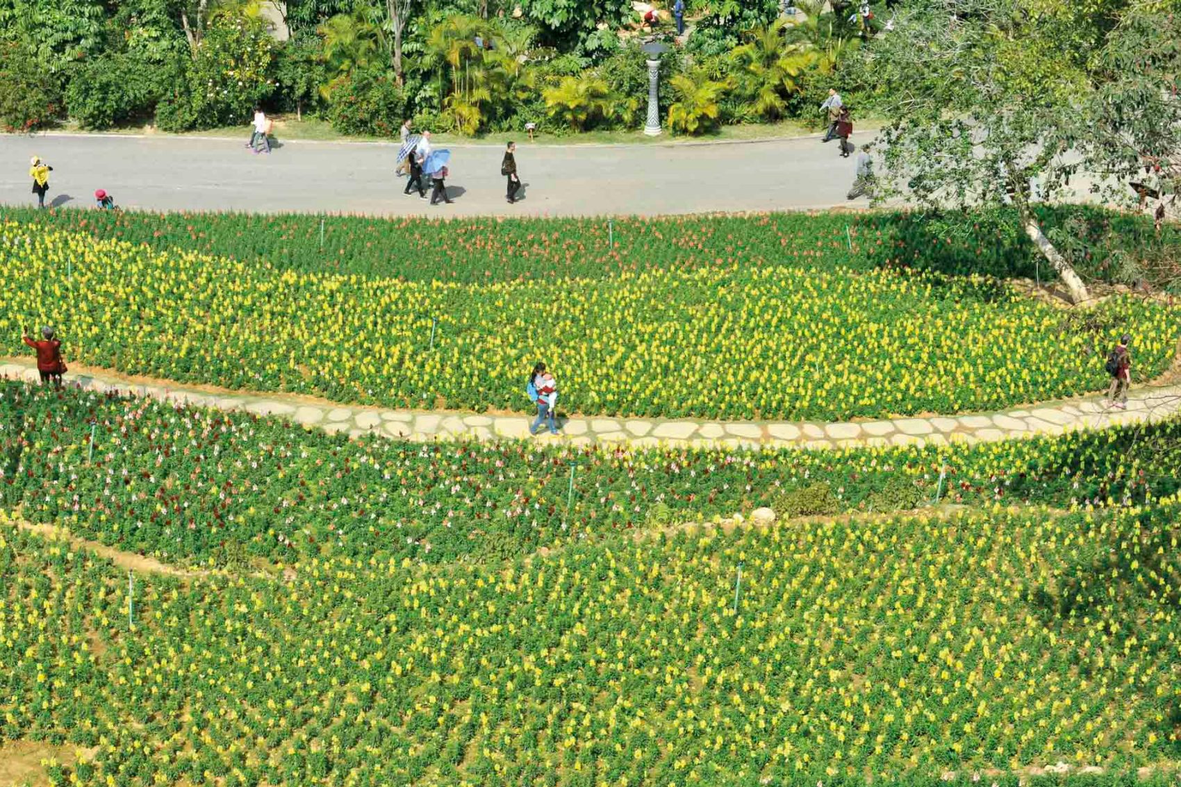 Nanning