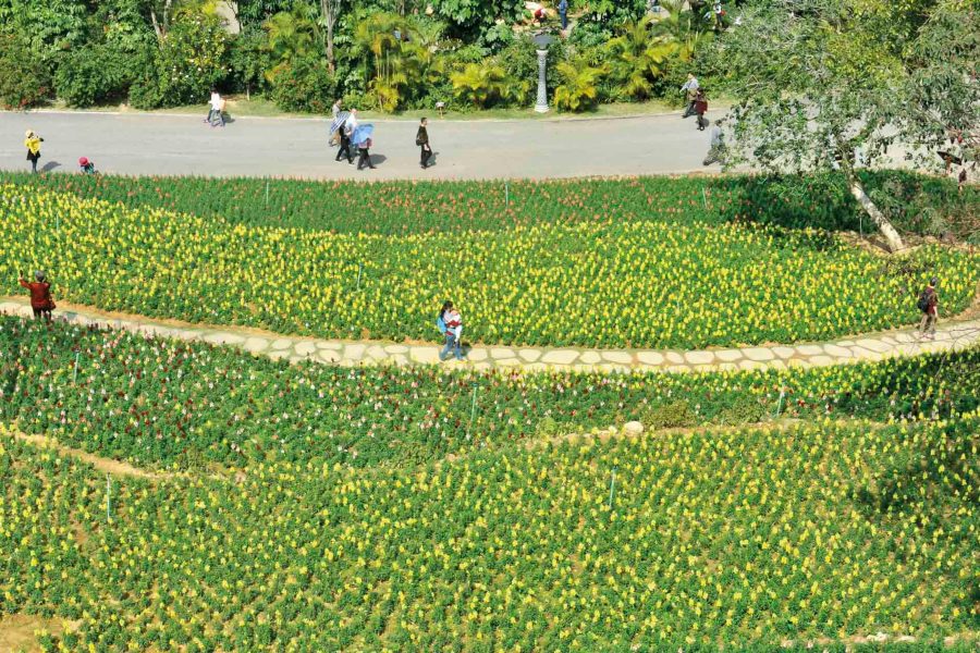 Nanning