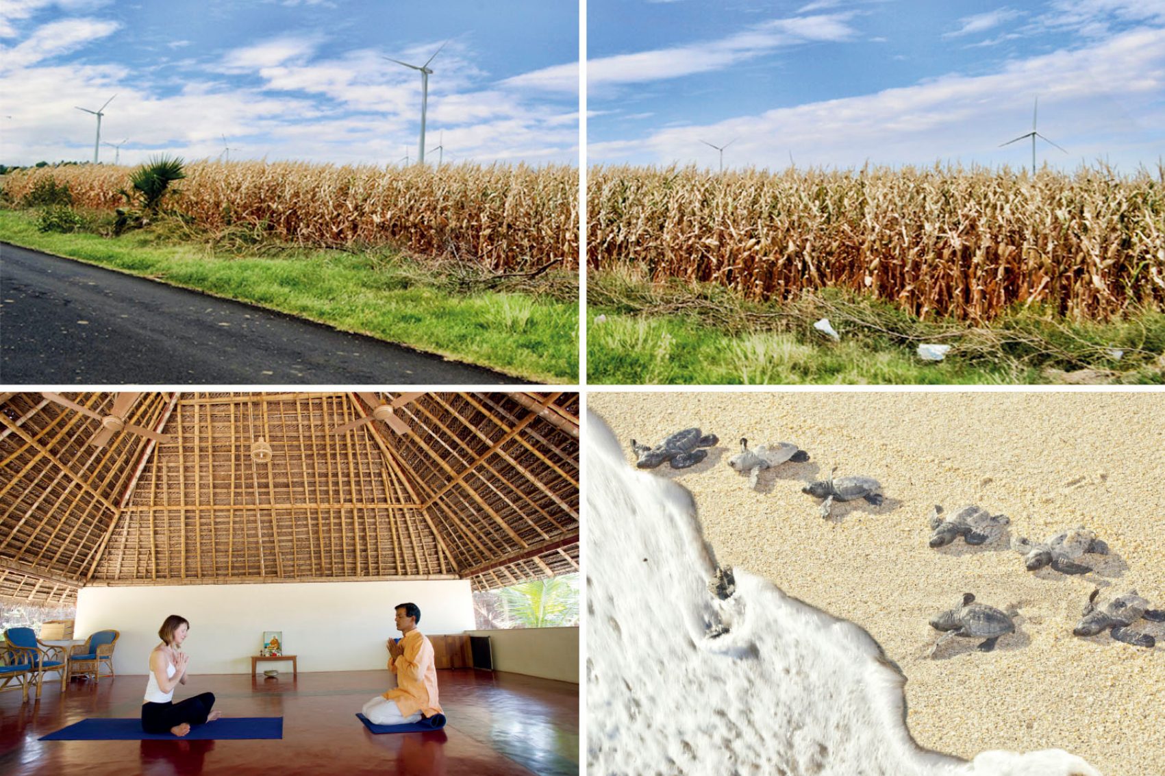 Sustainable India: A secret nature trail