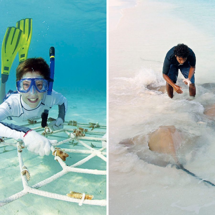 Collage of a snorkeller underwater (left) and a man with manta rays (right)