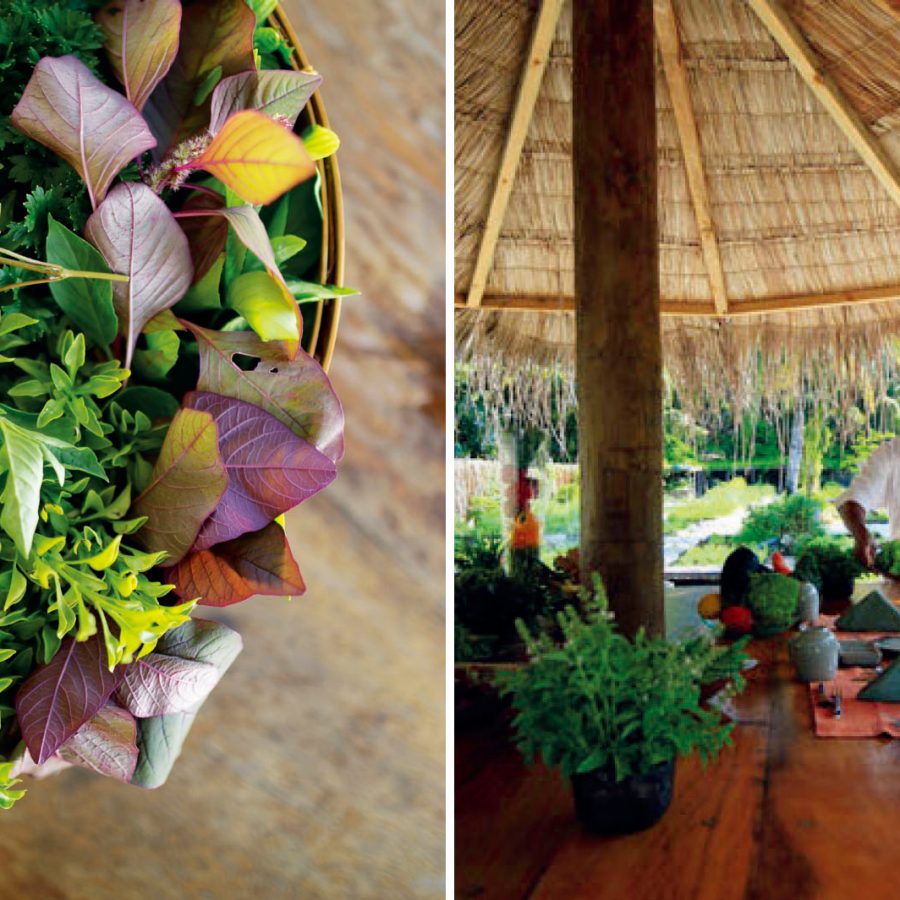 Collage of a plant pot (left) and outdoor dining setting (right)