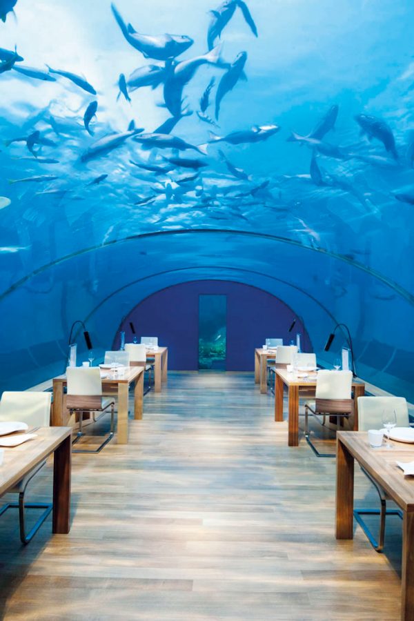 Underwater aquarium restaurant