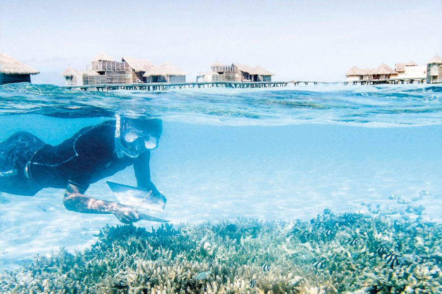 Man snorkelling over coral 