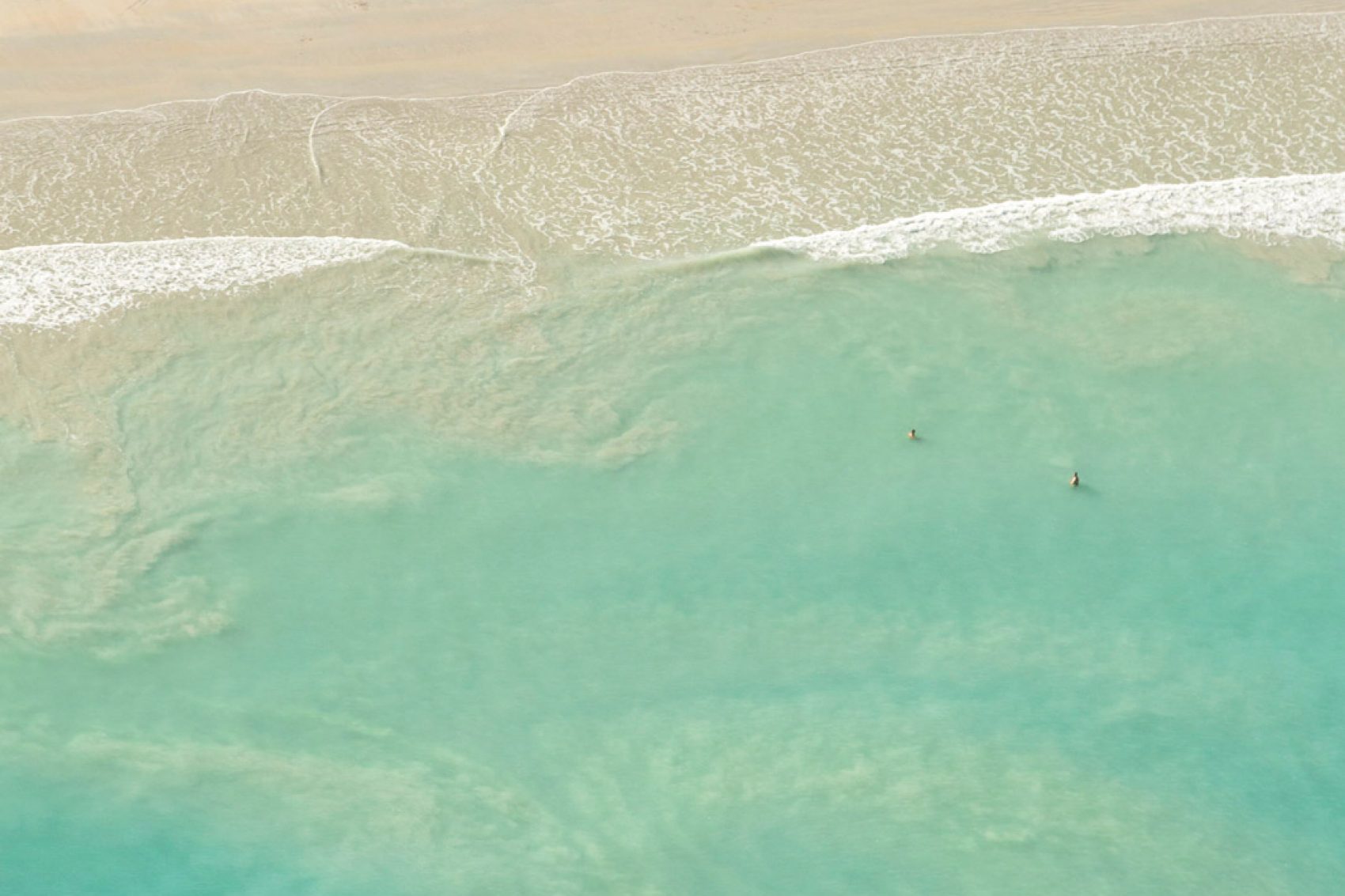Aerial shot of a beach with camels walking in a line