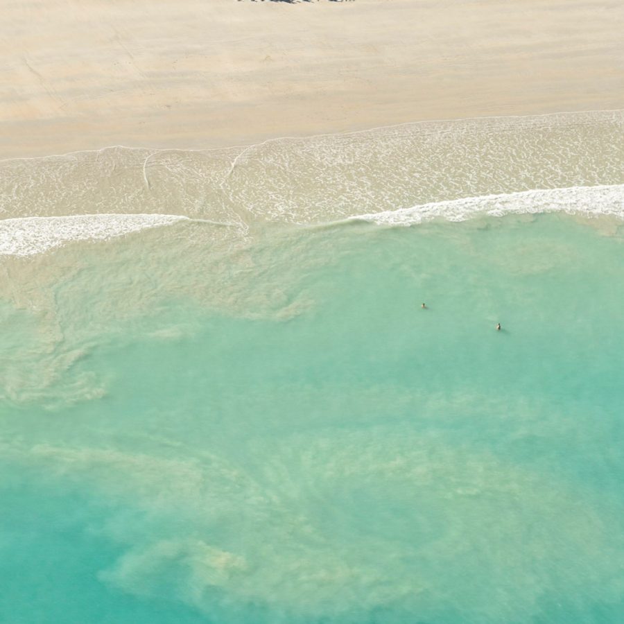 Aerial shot of a beach with camels walking in a line