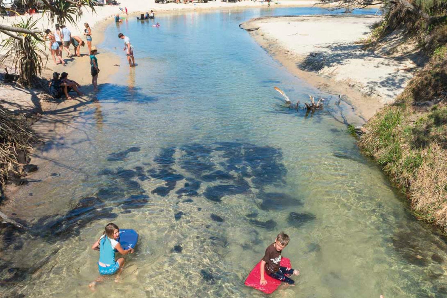Children playing with swimming boards on the beach
