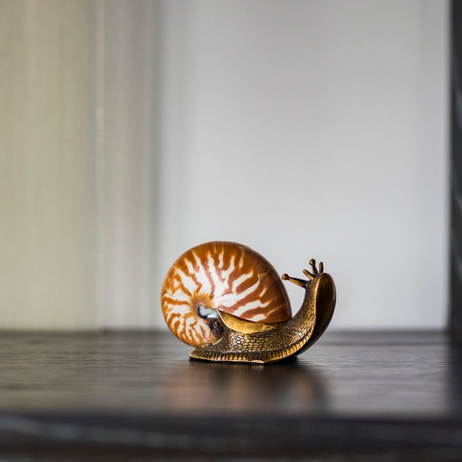 A snail