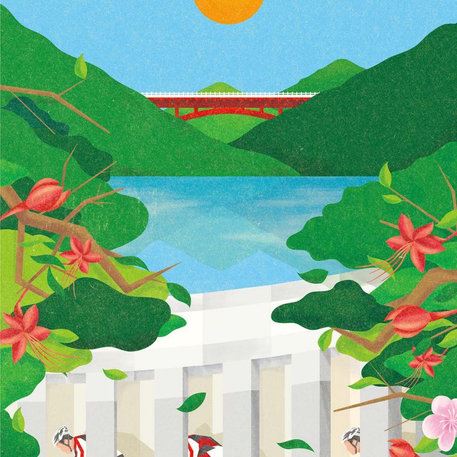 Illustrations of cyclists by lake