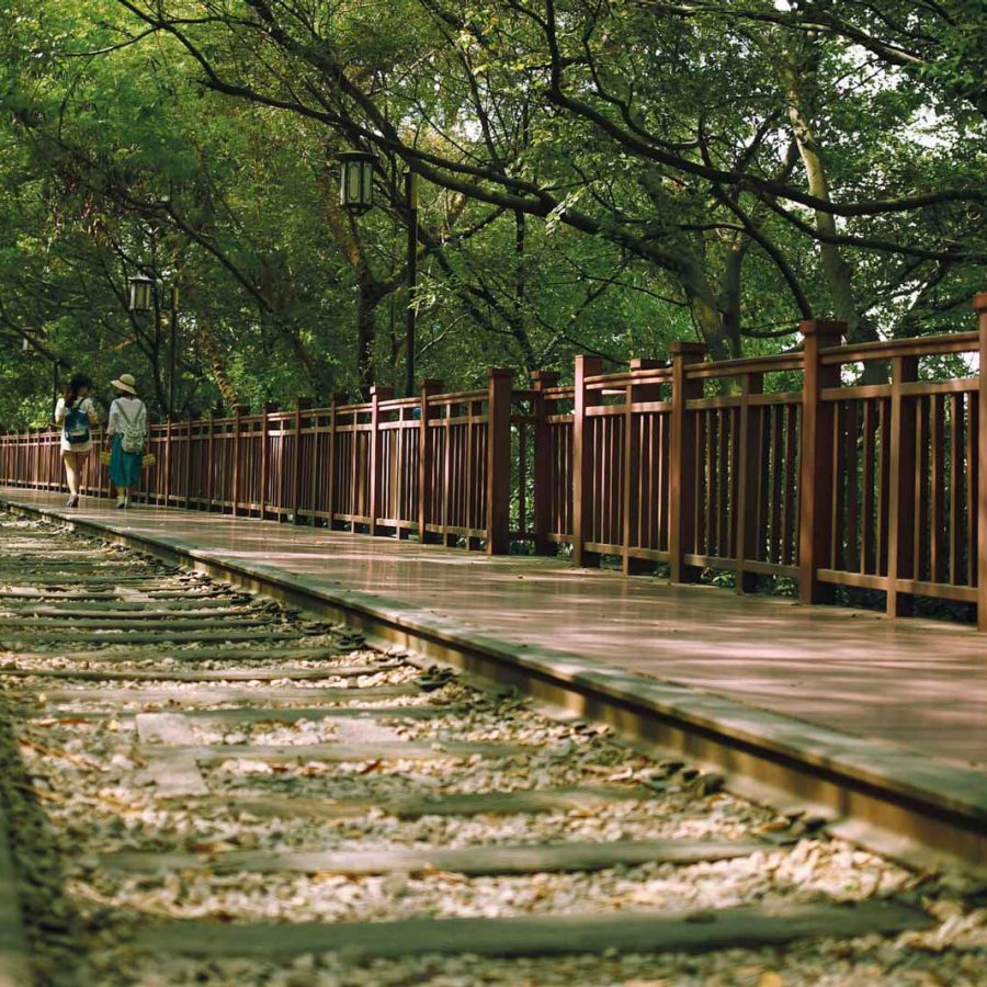 Train tracks and pavement under thick trees