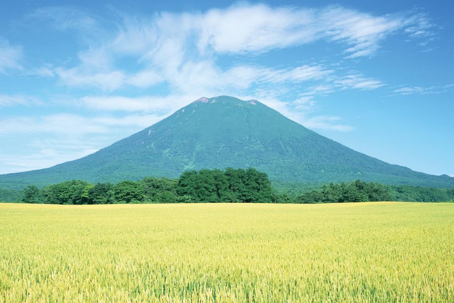 5 個日本夏日最佳度假勝地