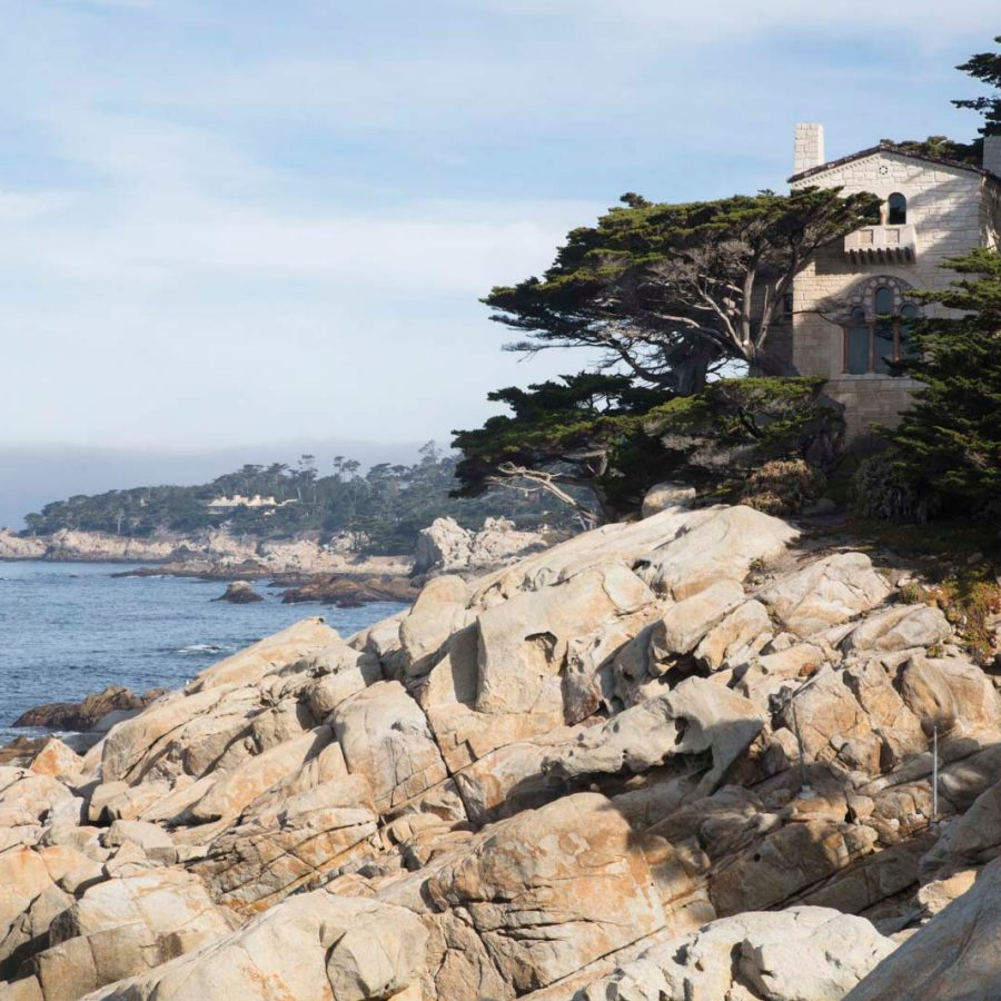 Seashore Monterey