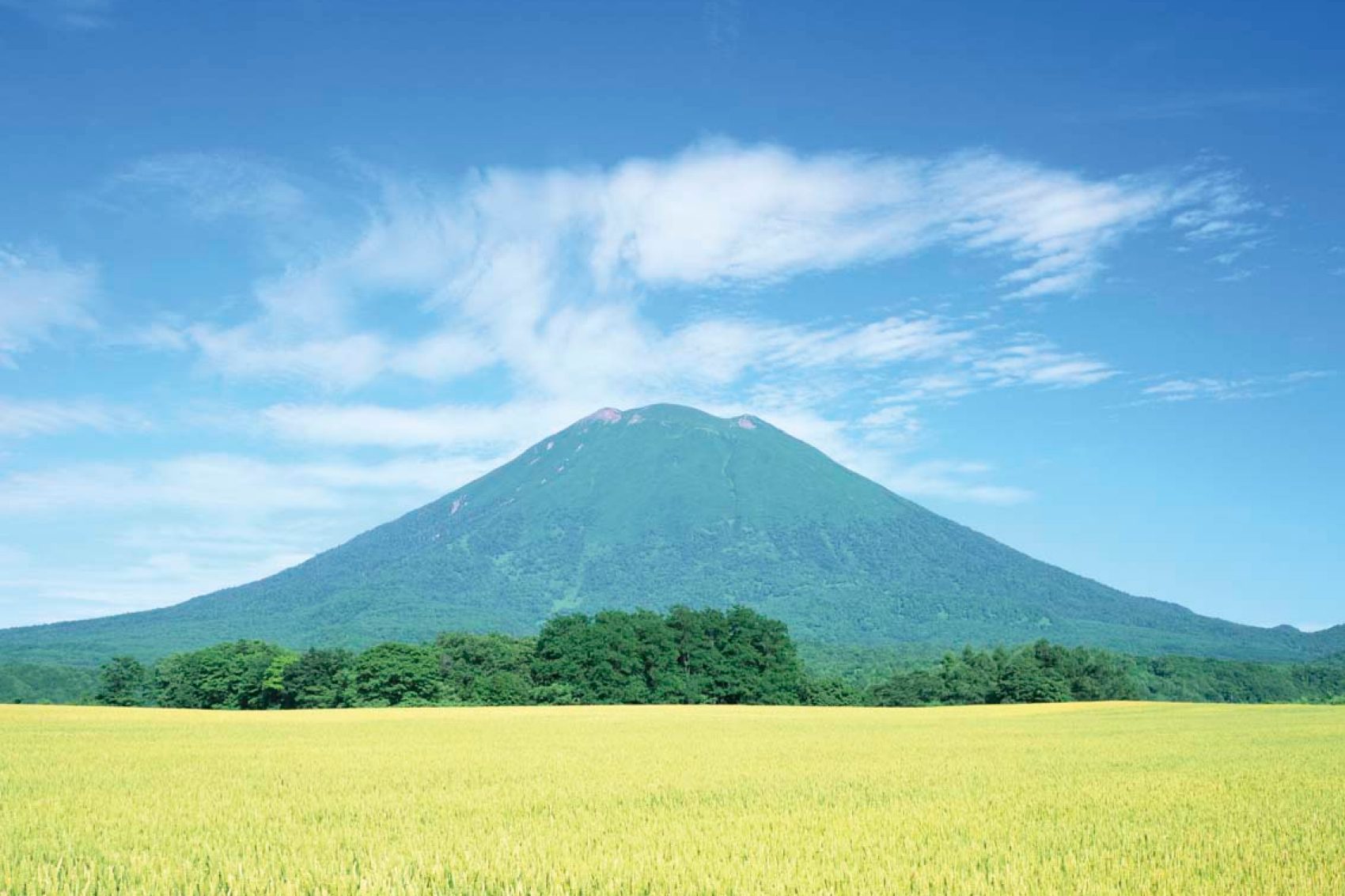 Niseko in summer
