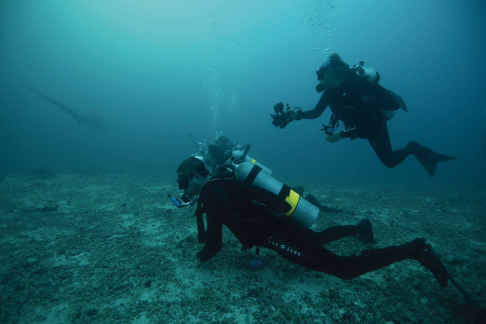Diving in Cebu