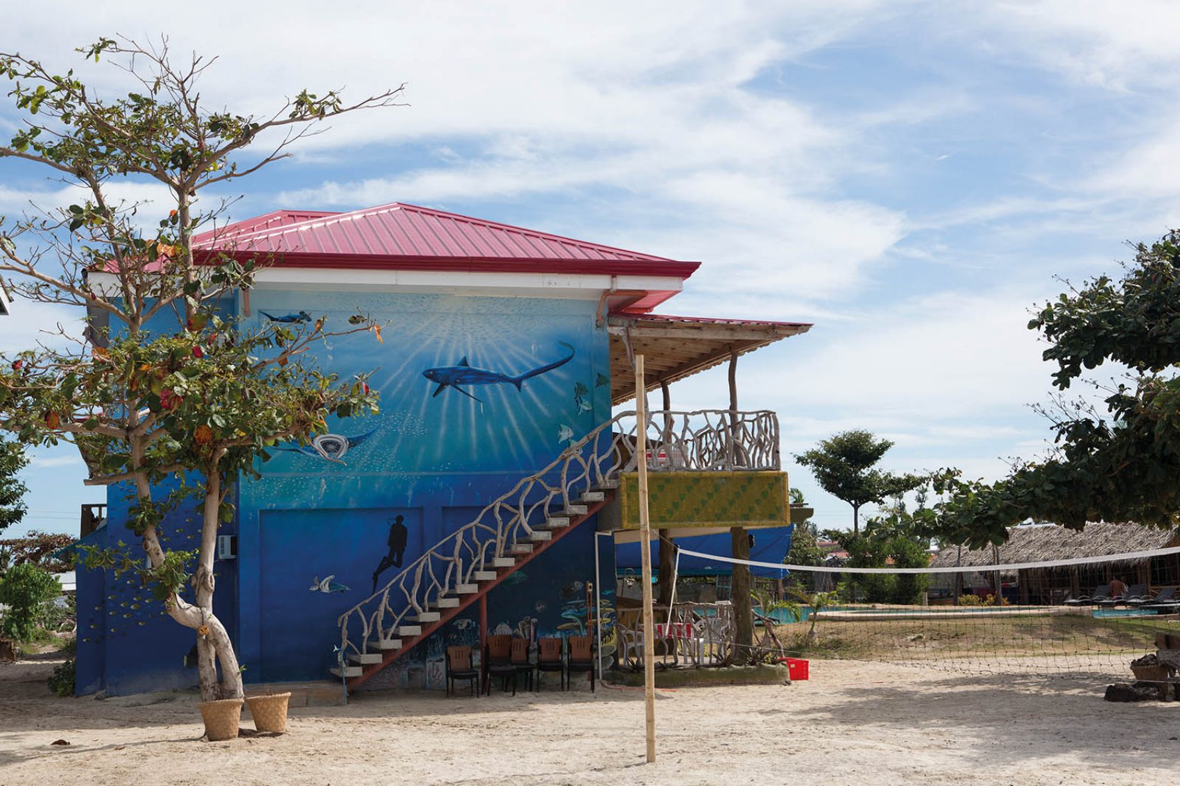 Diving in Cebu
