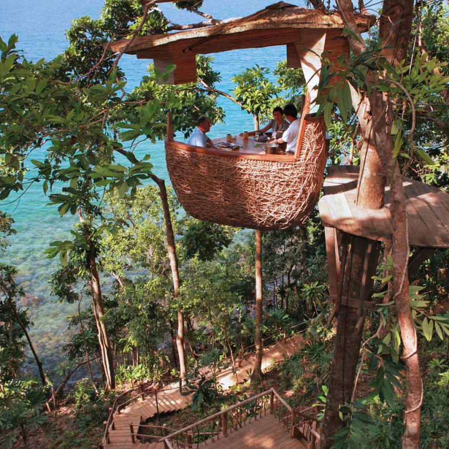 Treetop dining overlooking the sea