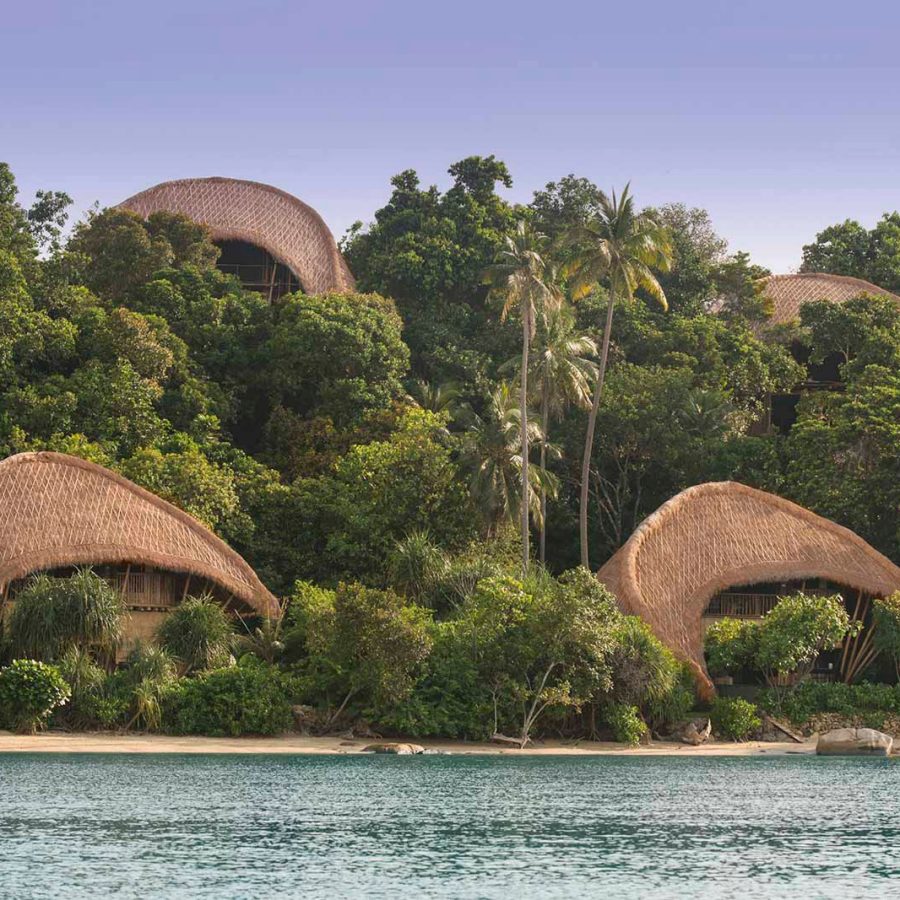Cempedak, Indonesia