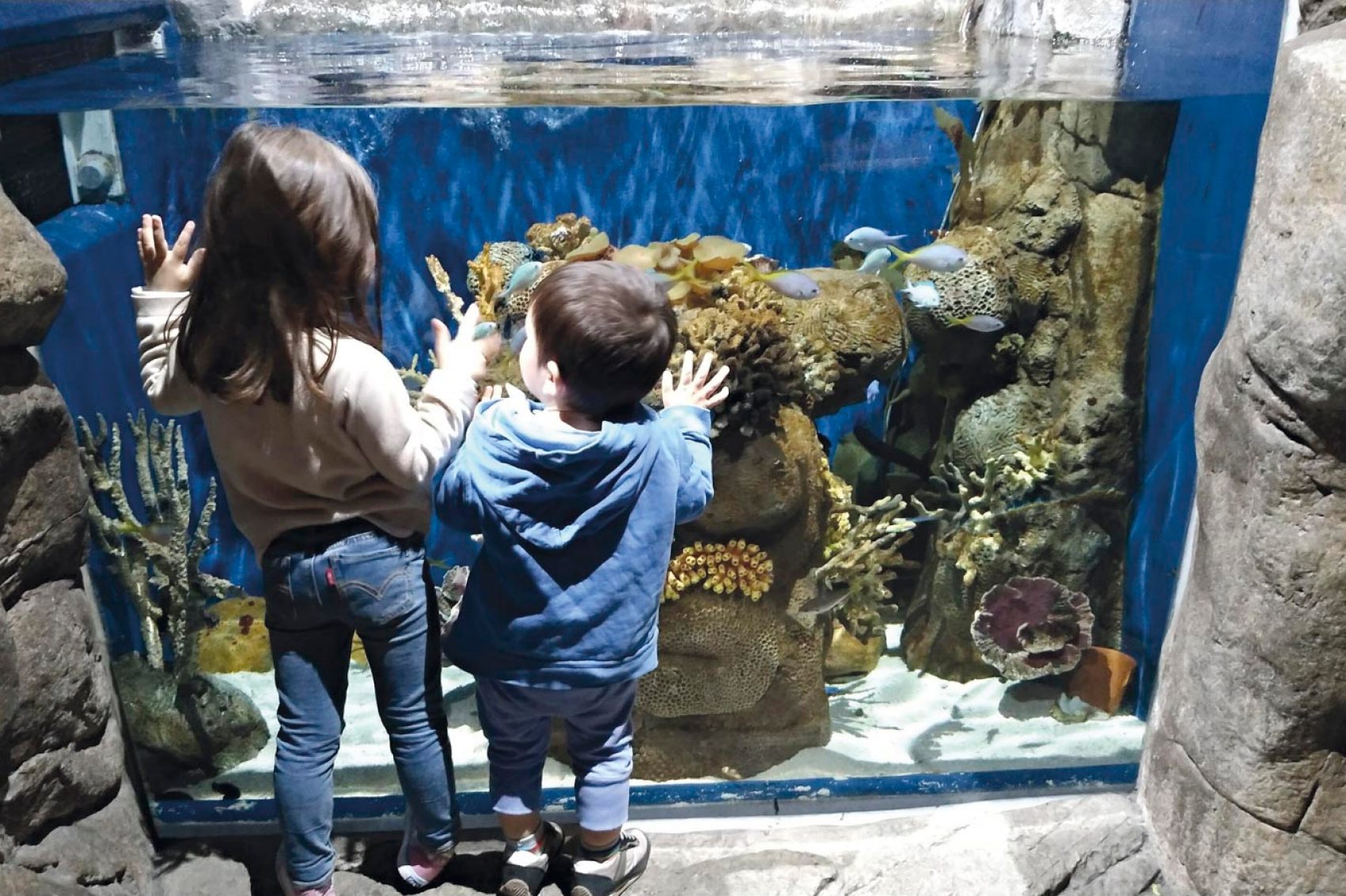 Kids at the aquarium of Ocean Park, Hong Kong