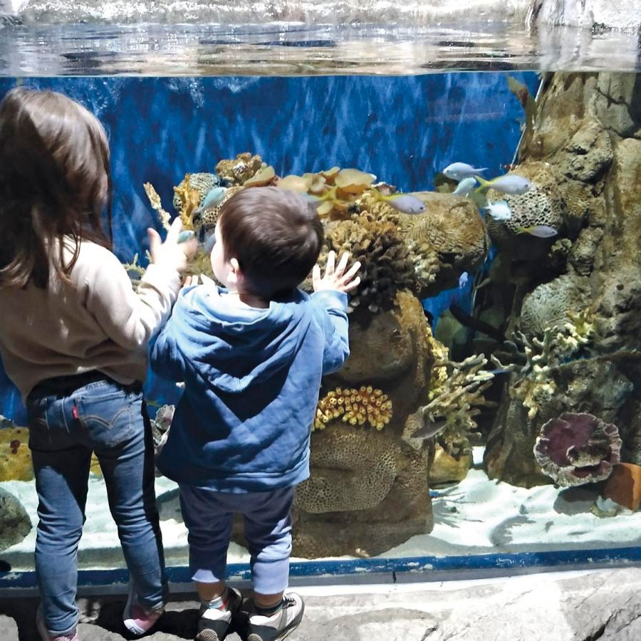 Kids at the aquarium of Ocean Park, Hong Kong