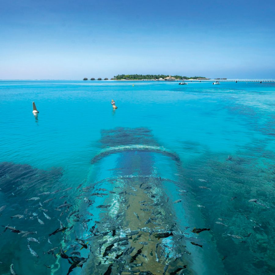 Maldives