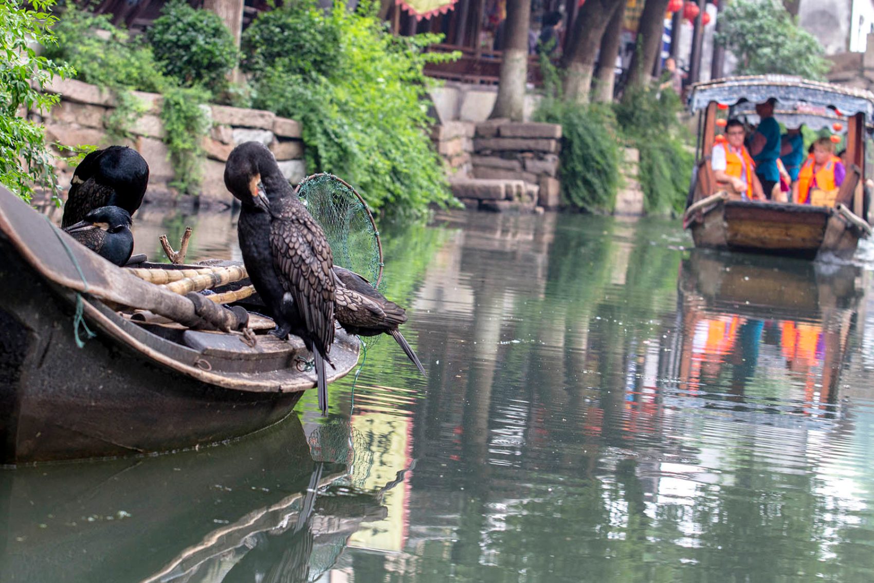 Luzhi Water Town