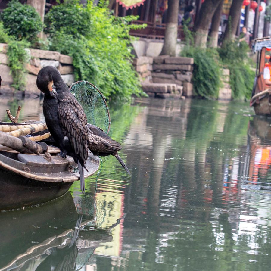 Luzhi Water Town