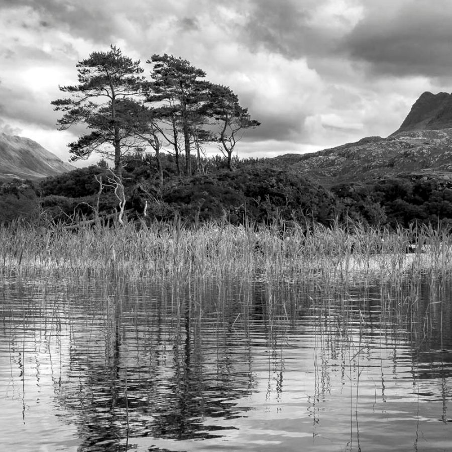 Scotland