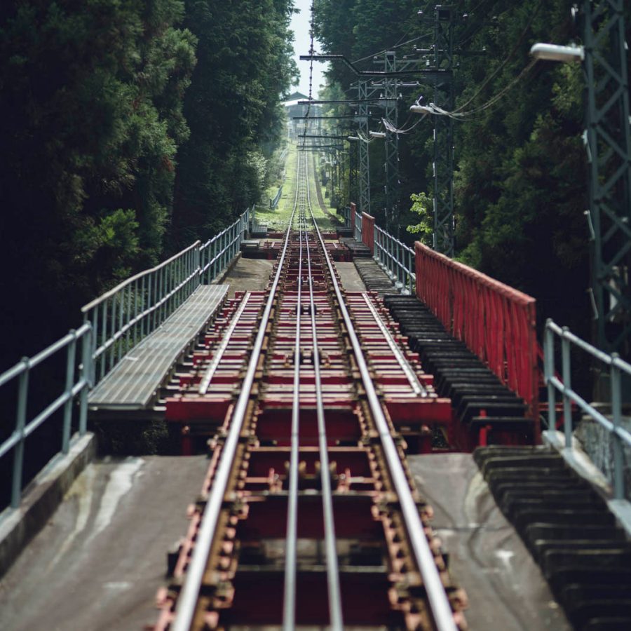 Wasabi Hills