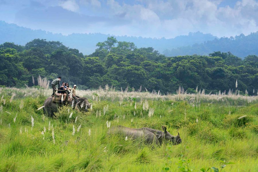 Chitwan National Park, Nepal