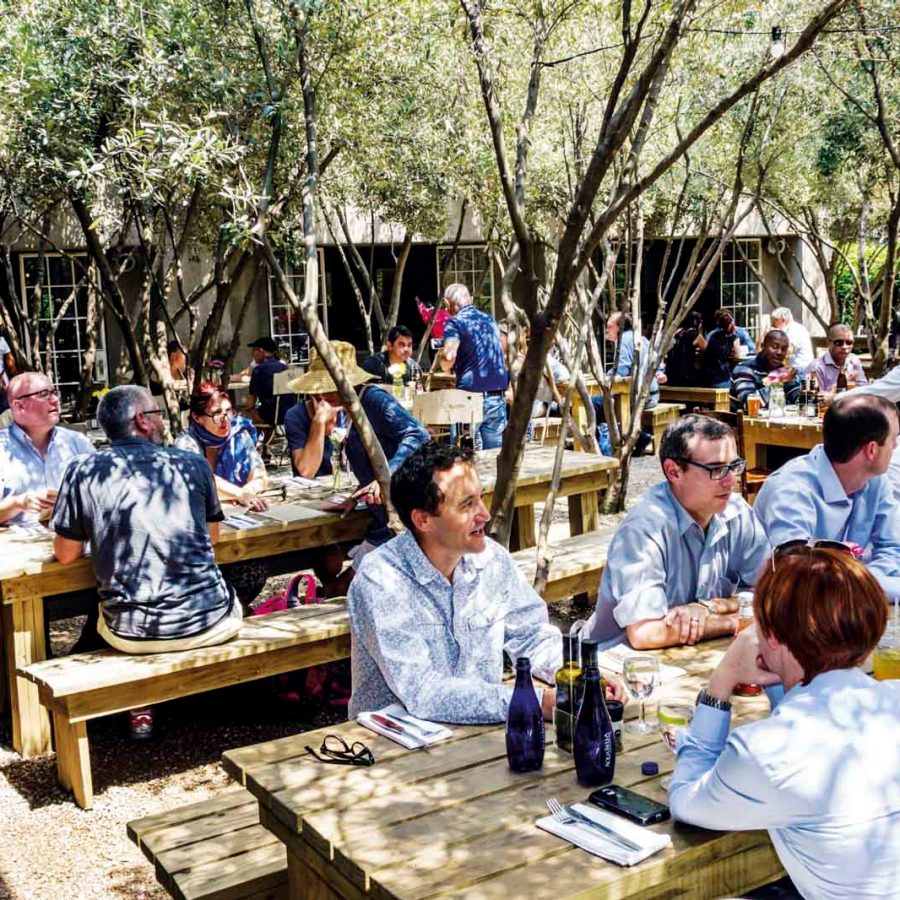 Group of peole fathering on picnic tables