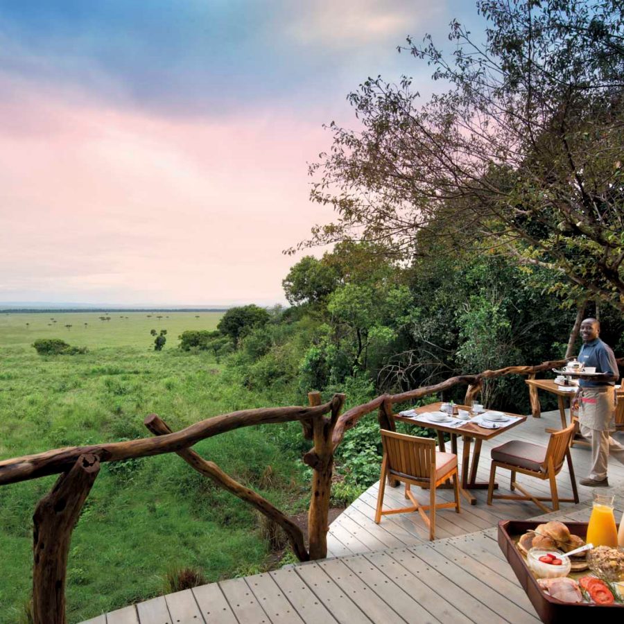 Breakfast tables on the edge of a green reserve