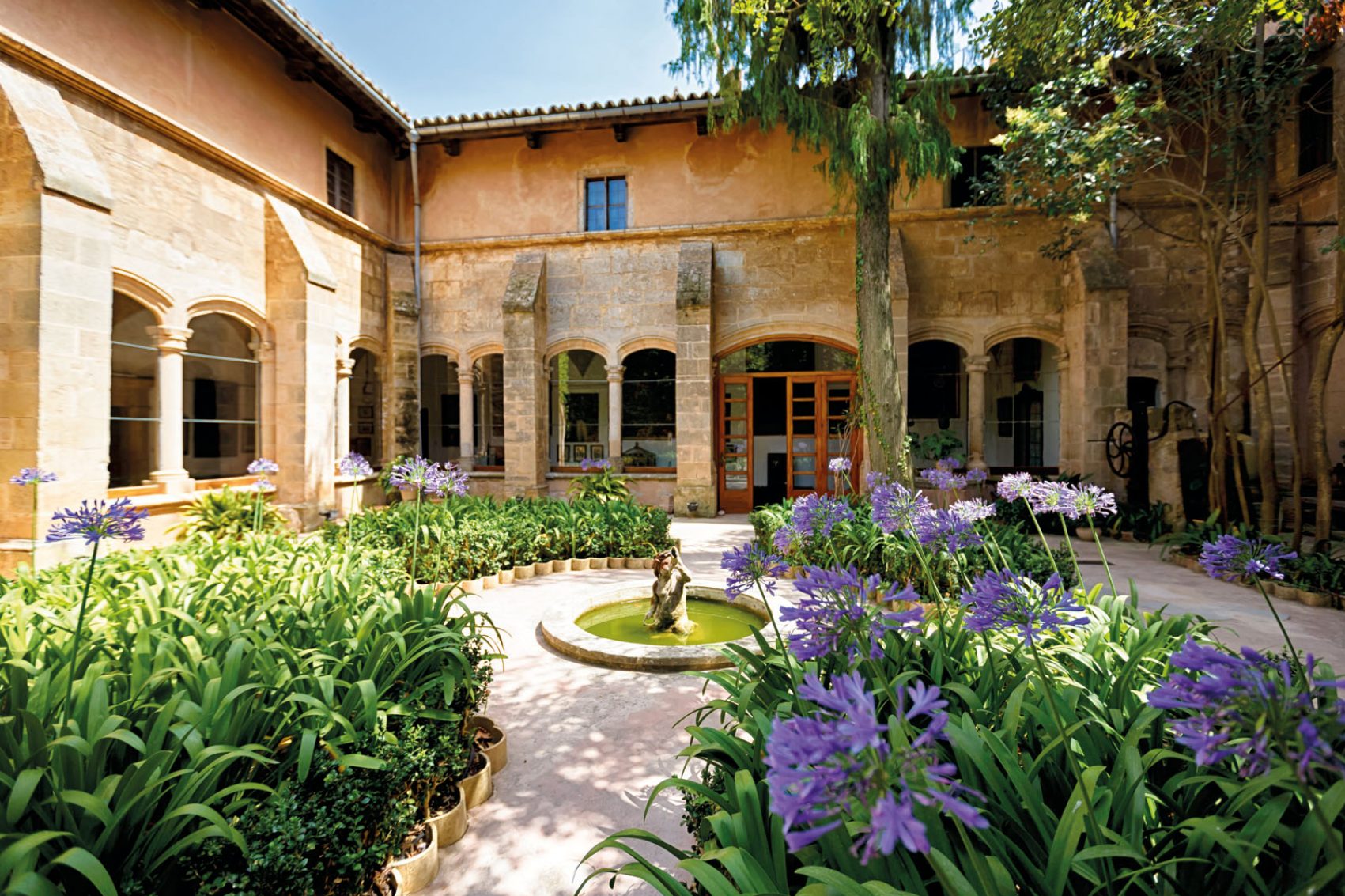 Garden view
