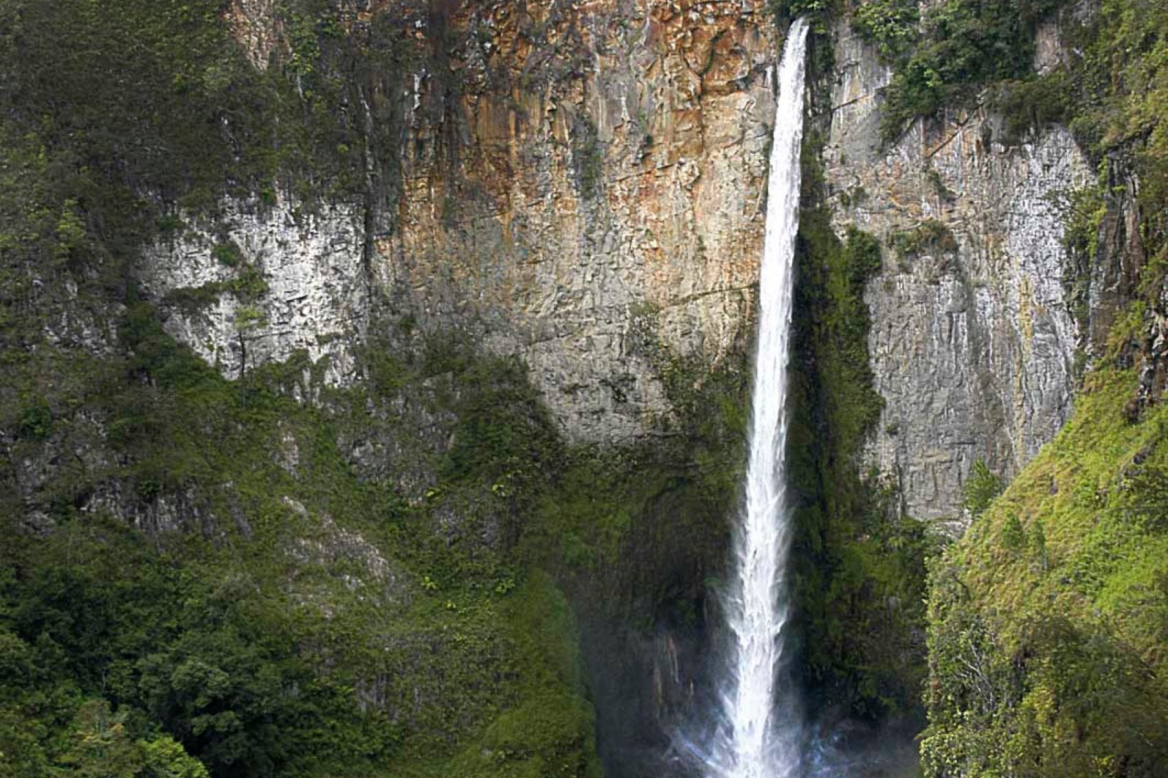 Beautiful waterfall stream over lush greenery