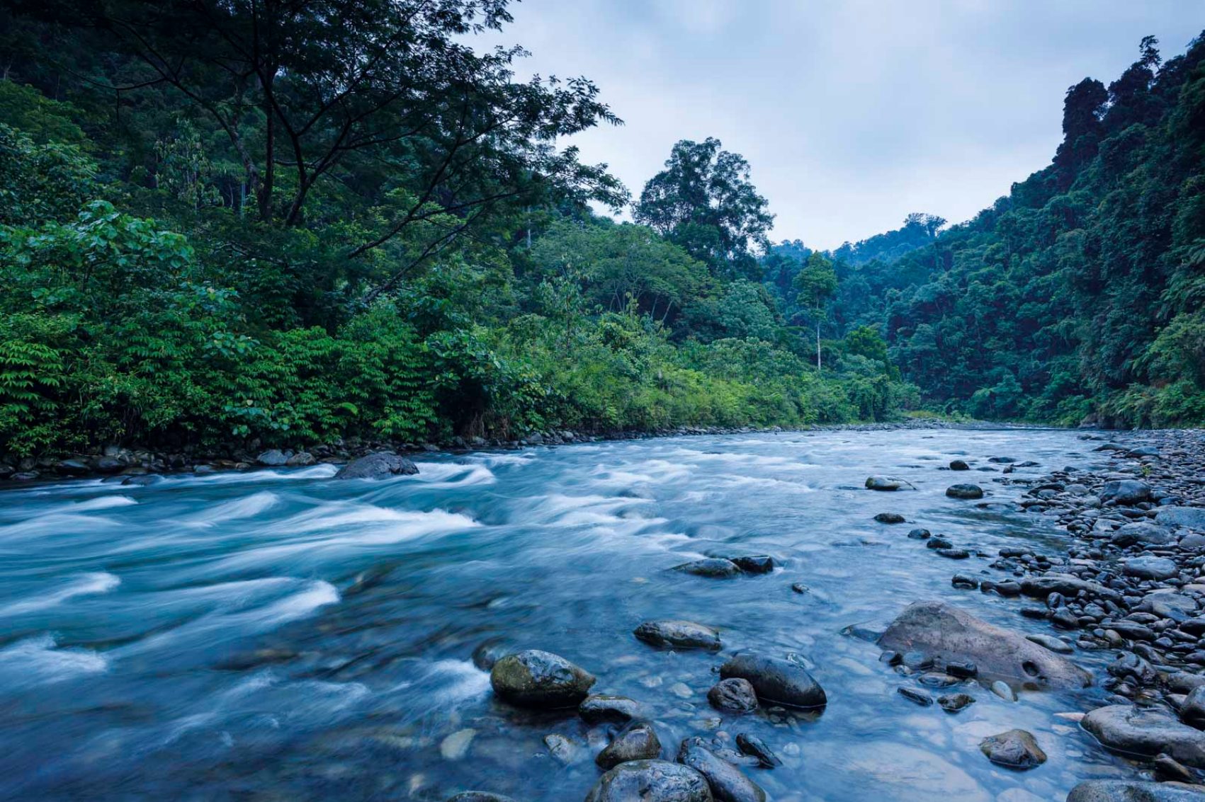 Rocky river in the jungle