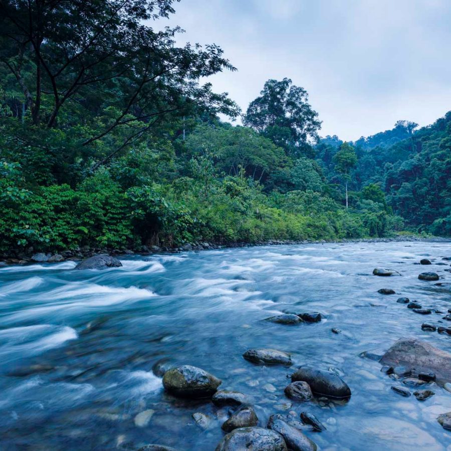 Rocky river in the jungle