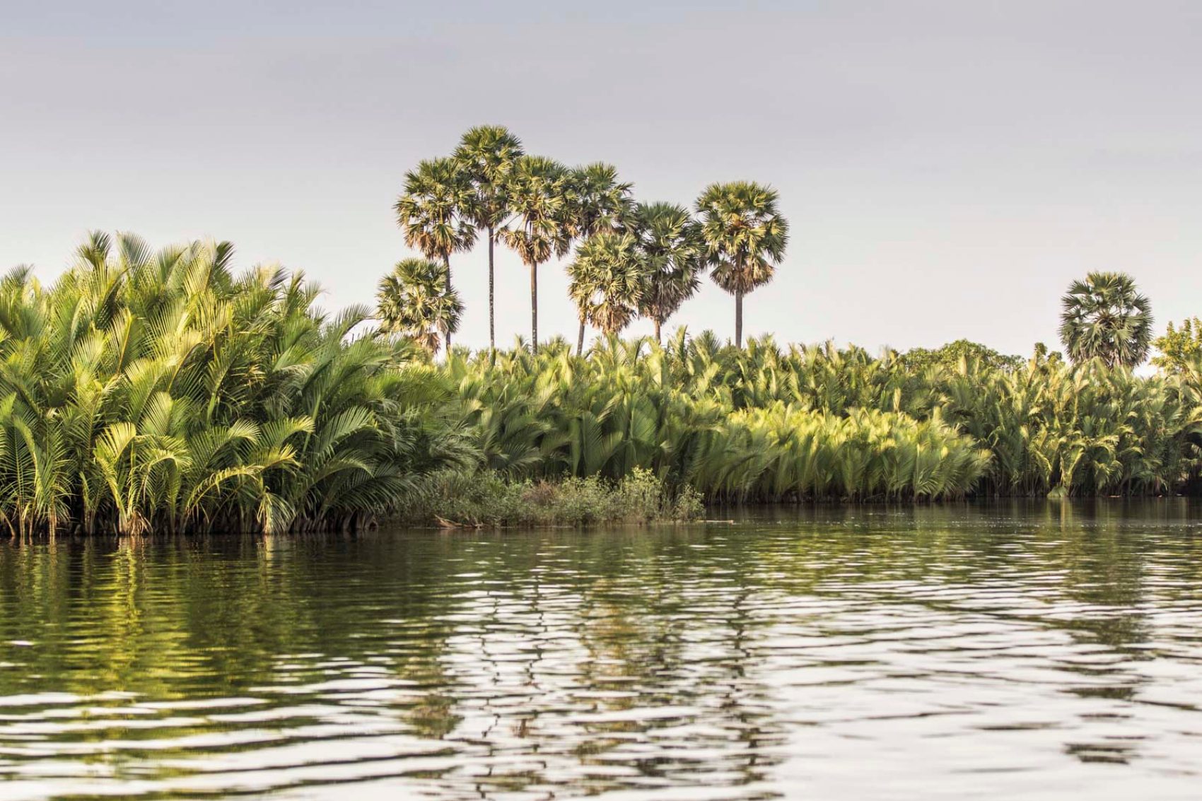 Greenery, riverside
