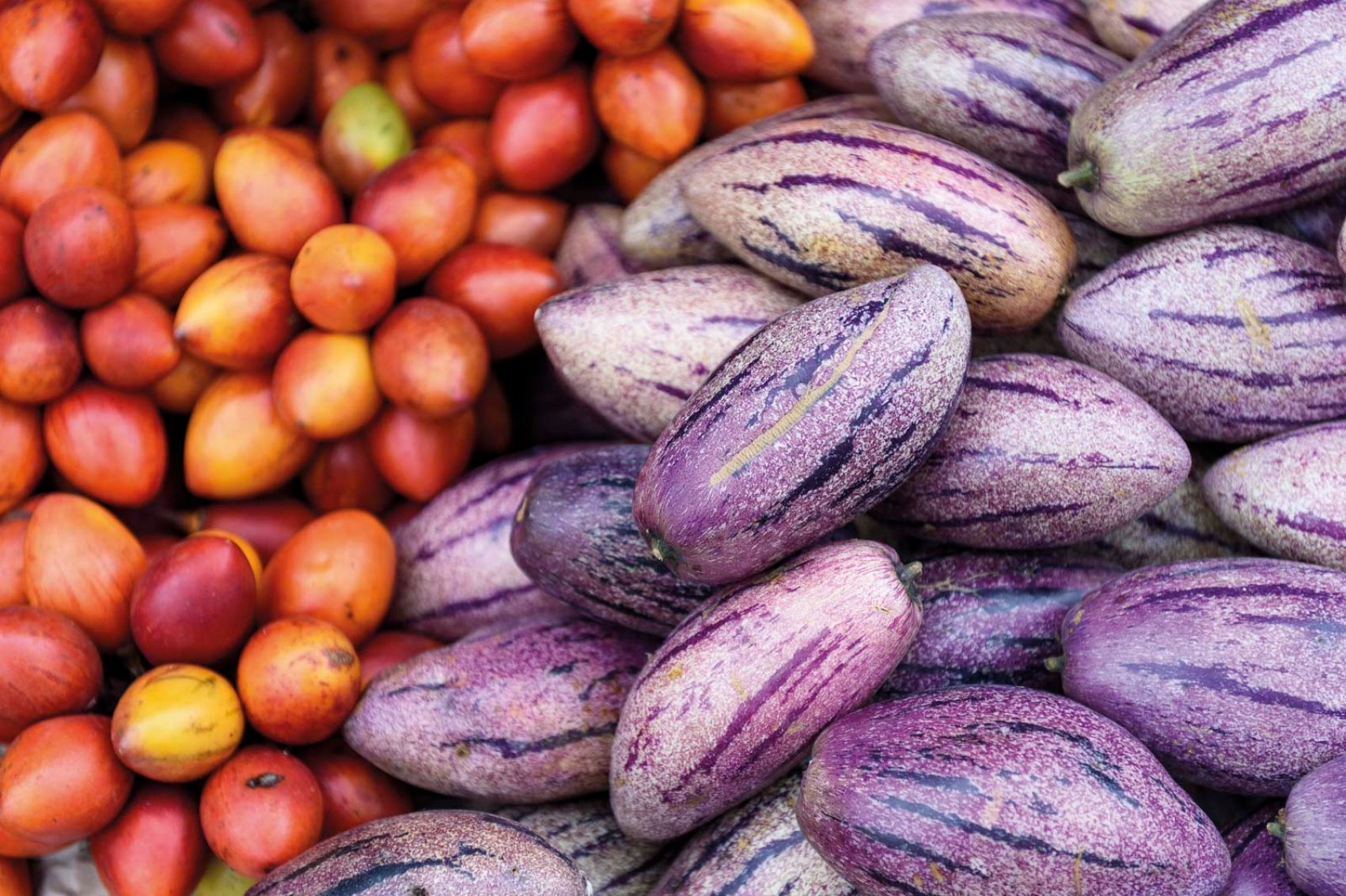 Purple and red fruits