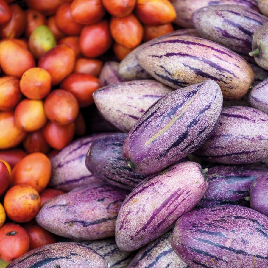 Purple and red fruits