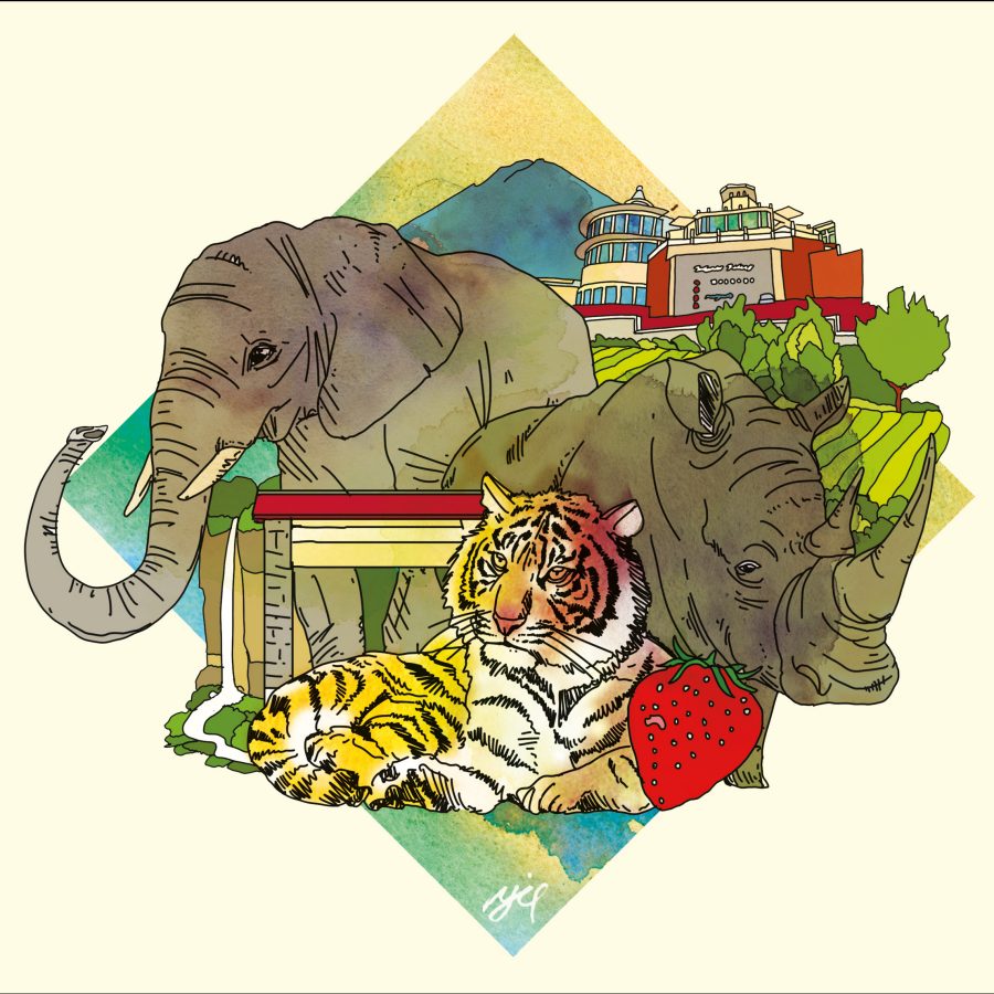 Medan nature
