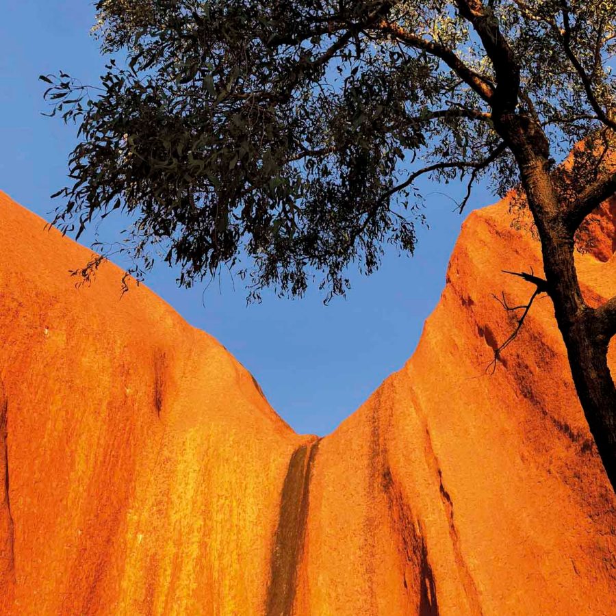 Outback landscape