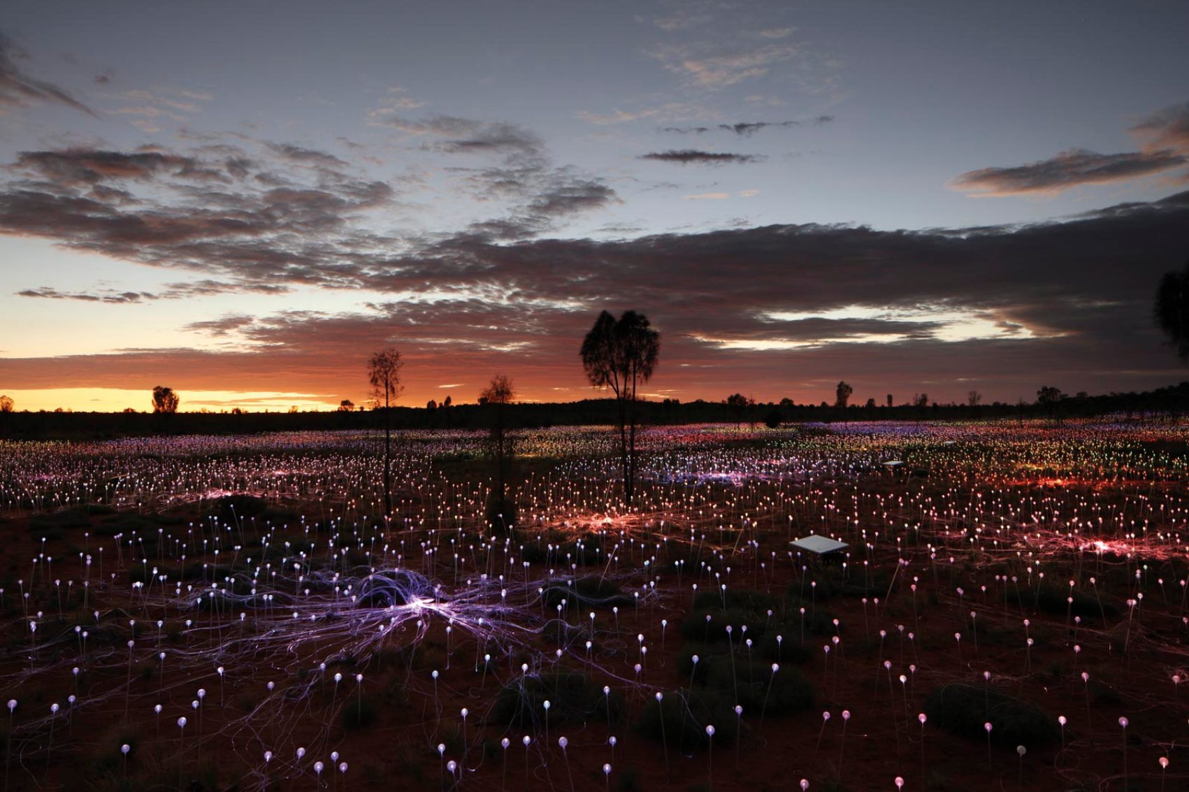 Field of light, Longitude 131. Credit: Bruce Munro Studio