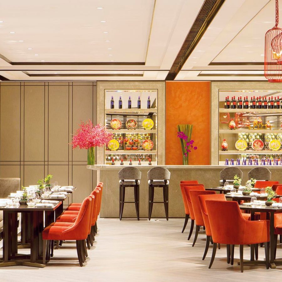 Niccolo Chengdu	