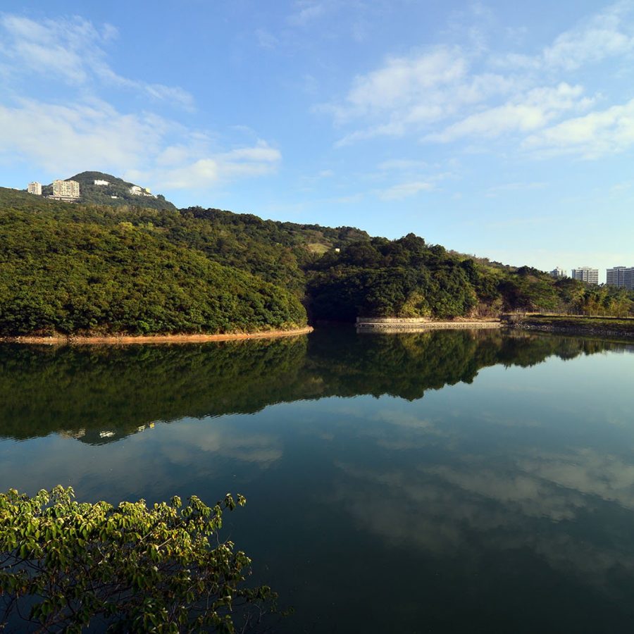 The flat path of Pok Fu Lam Family Walk loops through such woodland and follows the curve of Hong Kong’s first reservoir