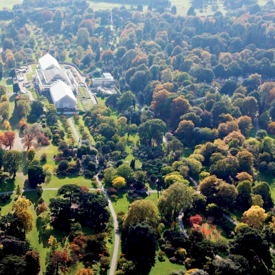 London gardens