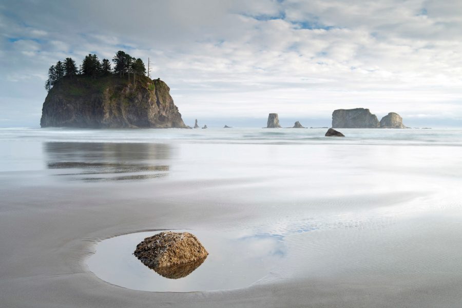 Olympic National Park Coastline, W.A, USA.