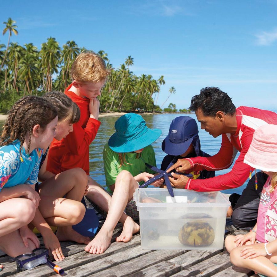 Family investigating starfish in seaside resort