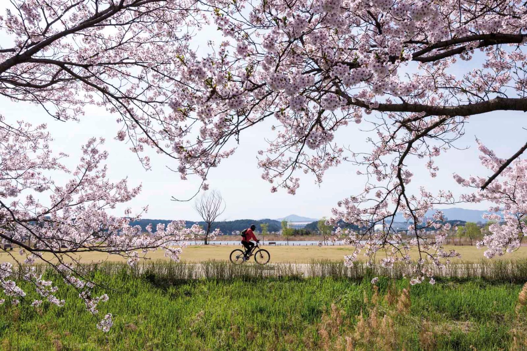 Gangneung: Seoul’s breezy escape