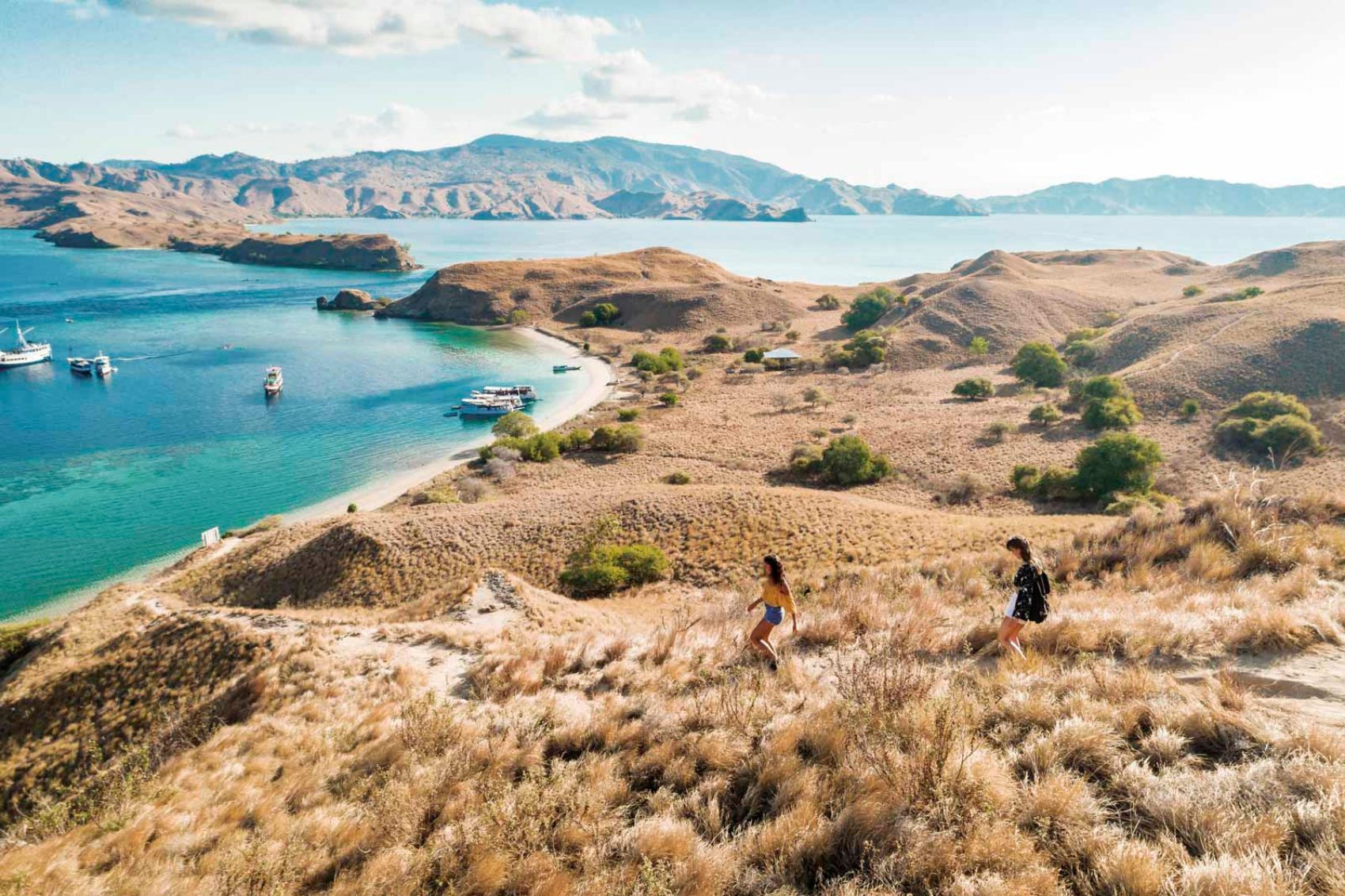 Komodo