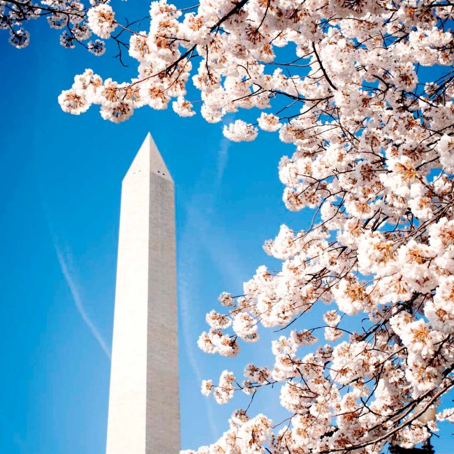 Washington DC
