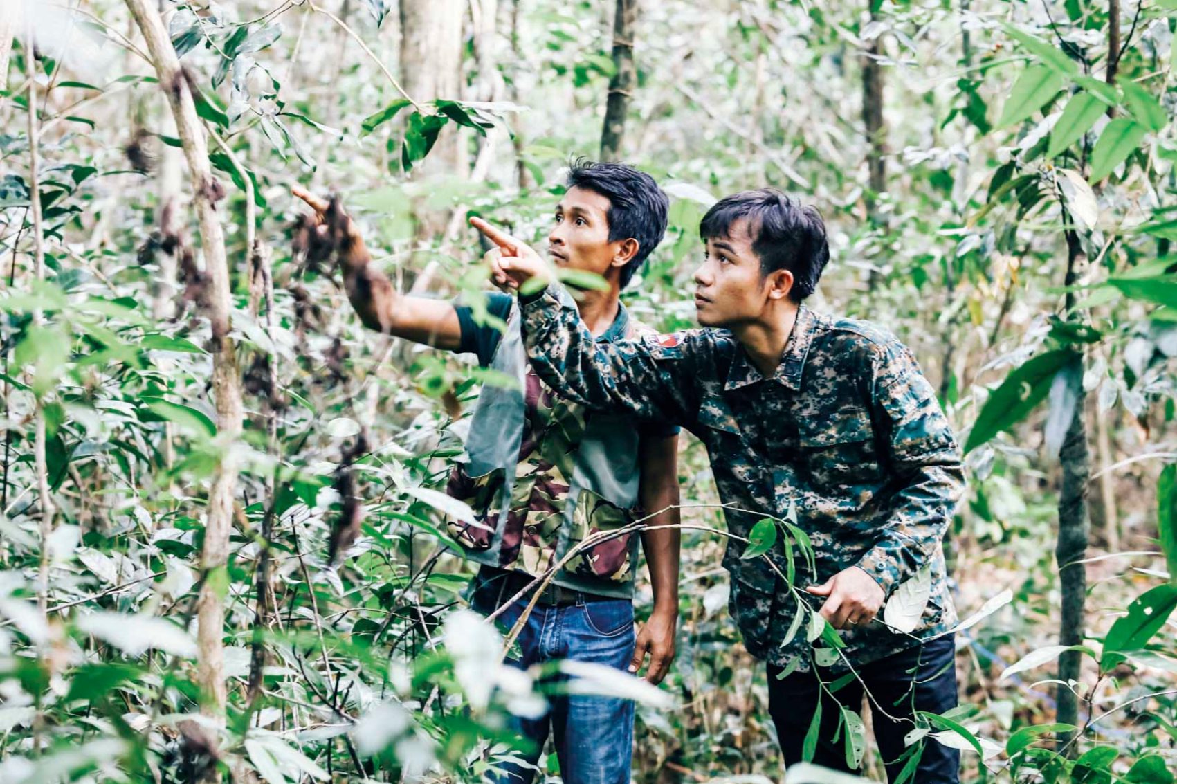 Two men in a jungle pointing at something in the distance