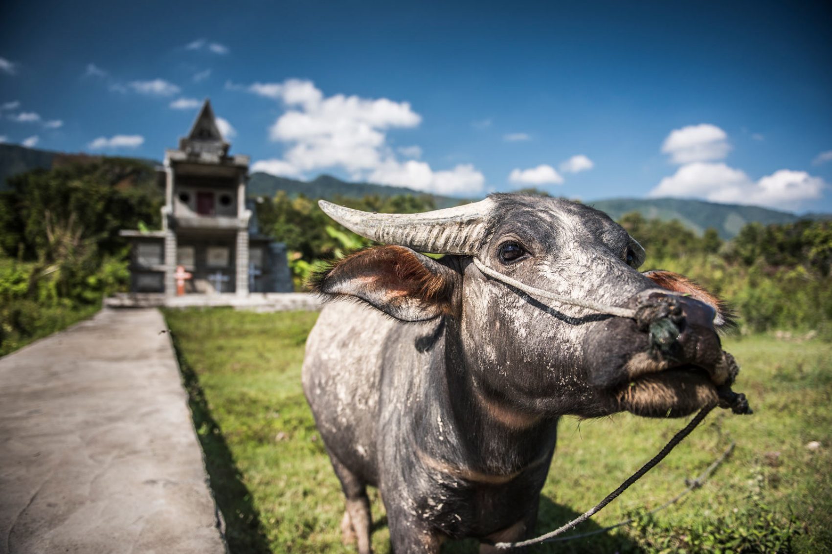 Lake Toba